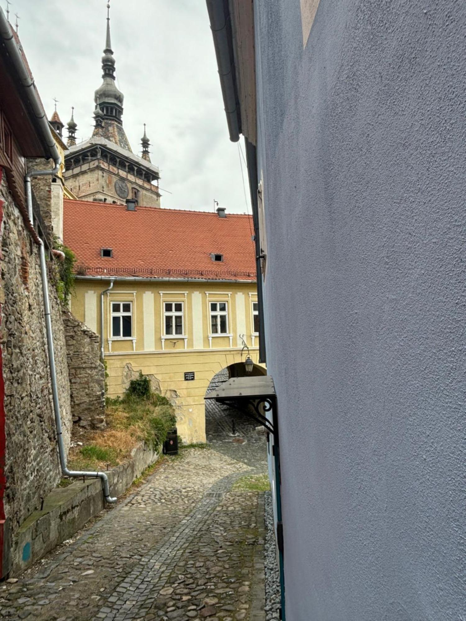 Blue House Citadel Elite Sighisoara Leilighet Eksteriør bilde
